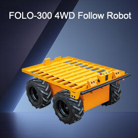 folo-300.jpg